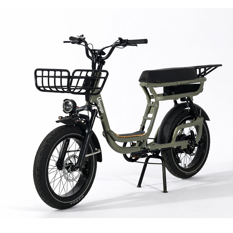 N3 20 Inch Electric Mountain B - đánh giá và giá Mountain Biking App