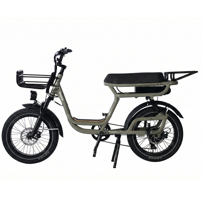 N3 20 Inch Electric Mountain B - đánh giá và giá Mountain Biking App